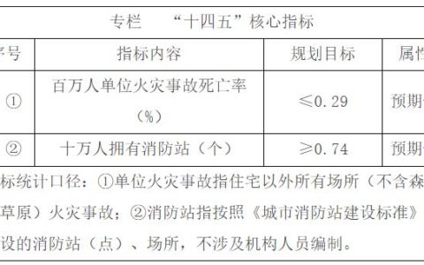 《“十四五”国家消防工作规划》