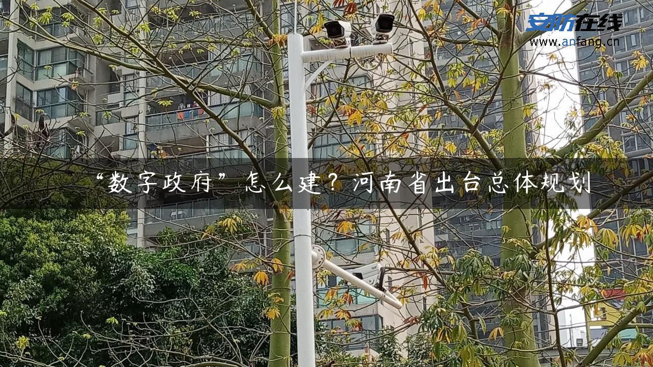 “数字政府”怎么建？河南省出台总体规划