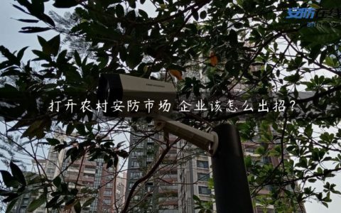 打开农村安防市场 企业该怎么出招？