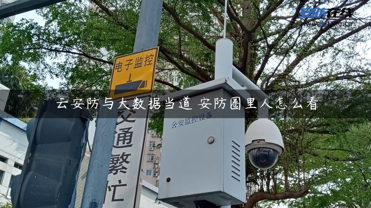 云安防与大数据当道 安防圈里人怎么看