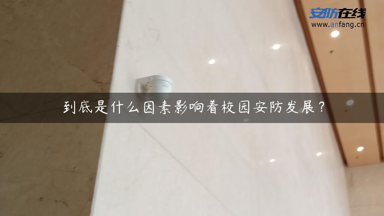 到底是什么因素影响着校园安防发展？