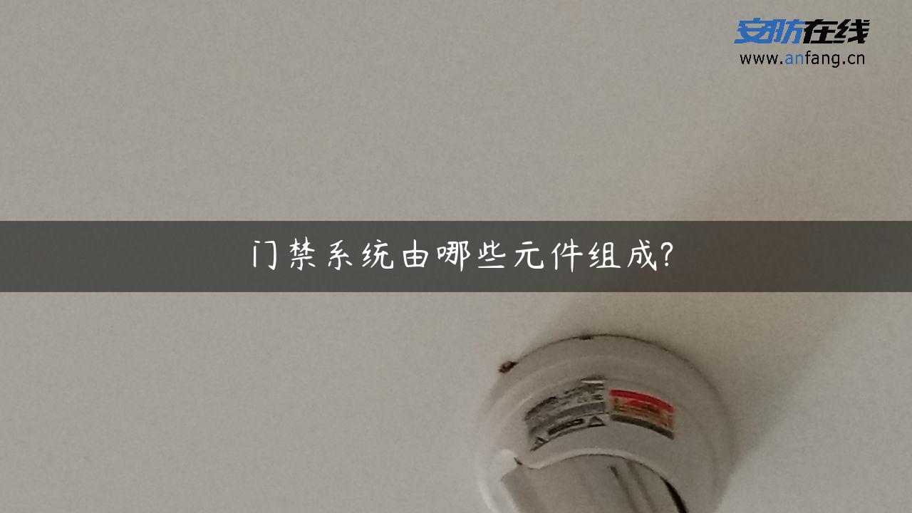 门禁系统由哪些元件组成?