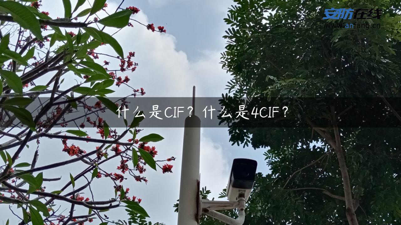 什么是CIF？什么是4CIF？