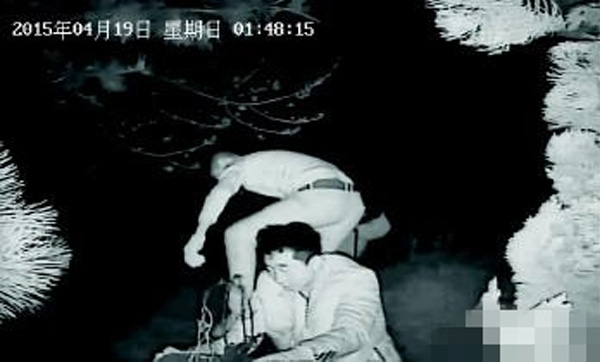 视频监控无处不在 入室盗窃案为何依然频发