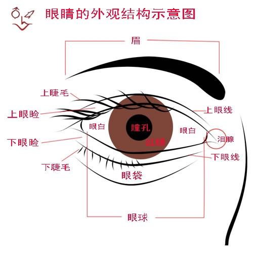 眼纹/眼球/虹膜识别差哪儿了