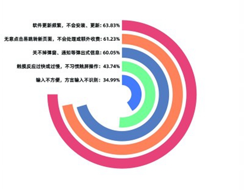 数字时代如何助力老年人“老有所安”――互联网适老化改造调研