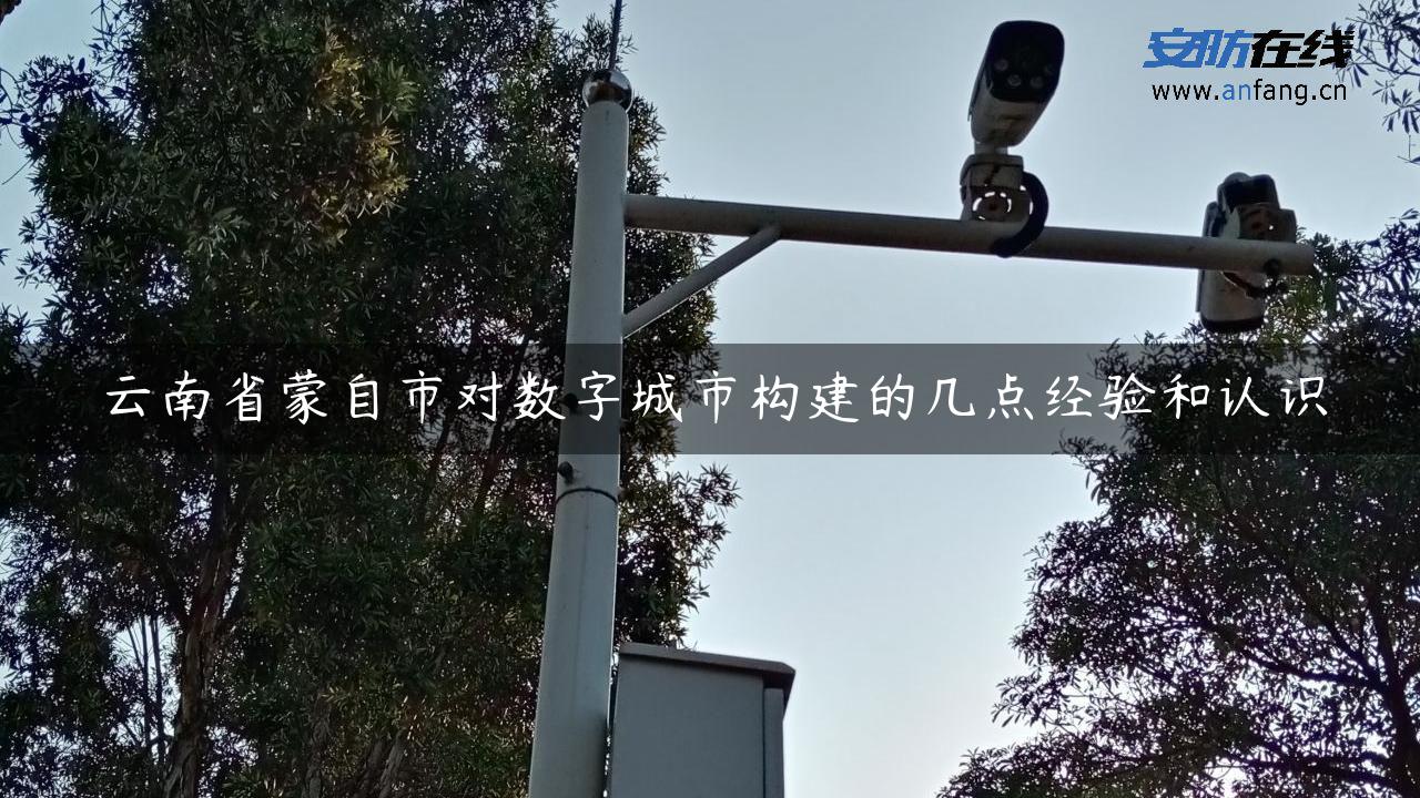 云南省蒙自市对数字城市构建的几点经验和认识