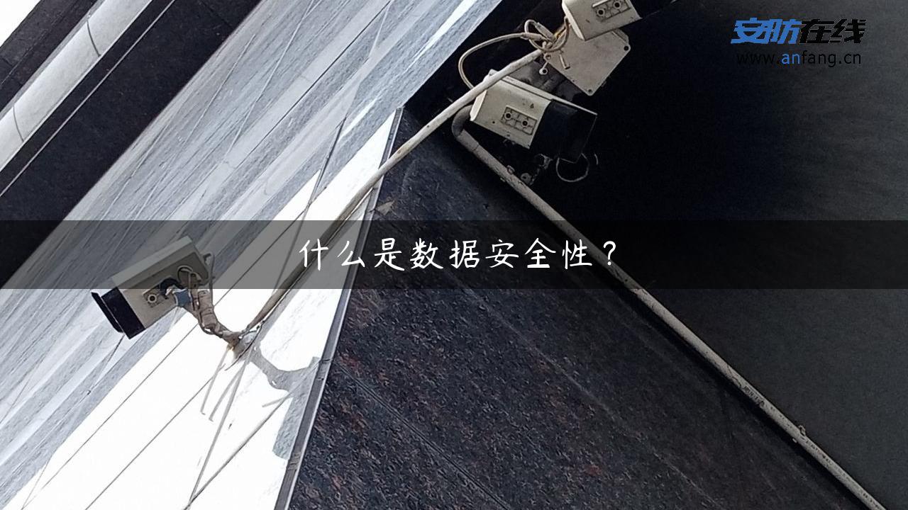 什么是数据安全性？