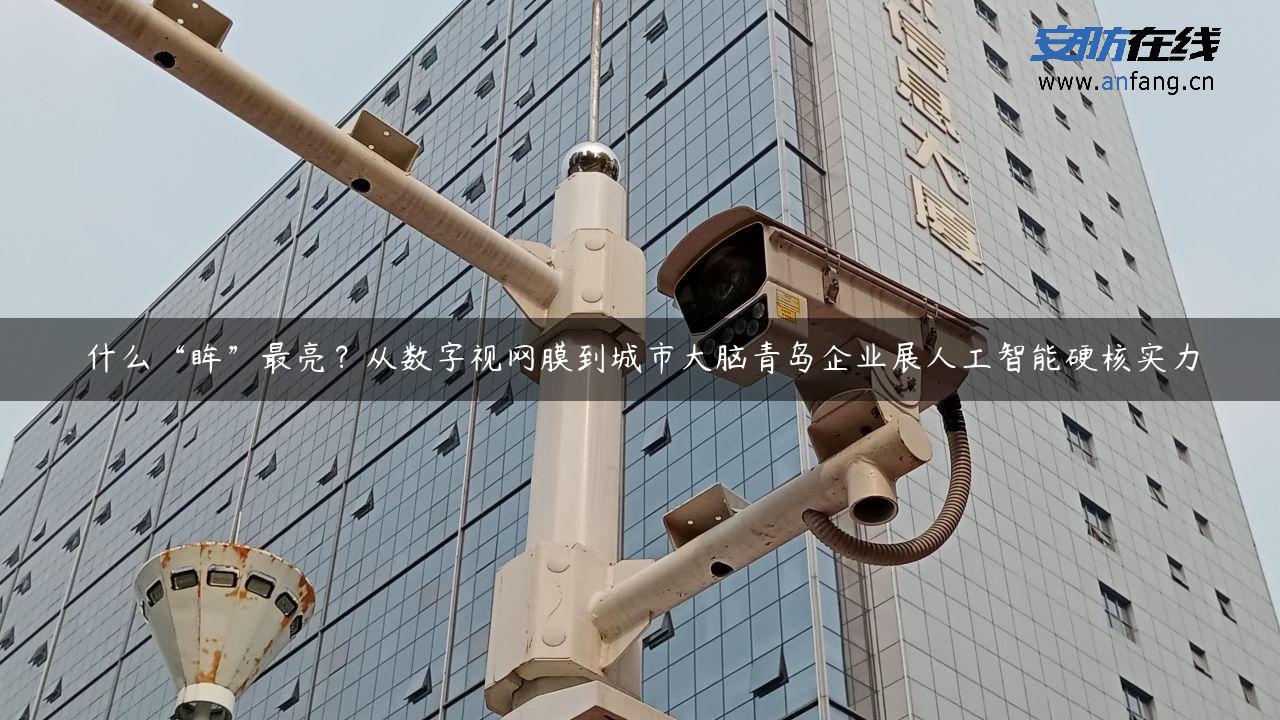 什么“眸”最亮？从数字视网膜到城市大脑青岛企业展人工智能硬核实力