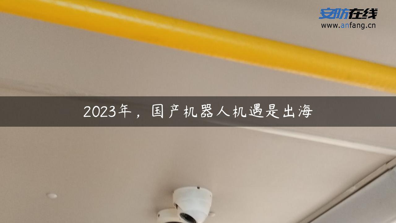 2023年，国产机器人机遇是出海