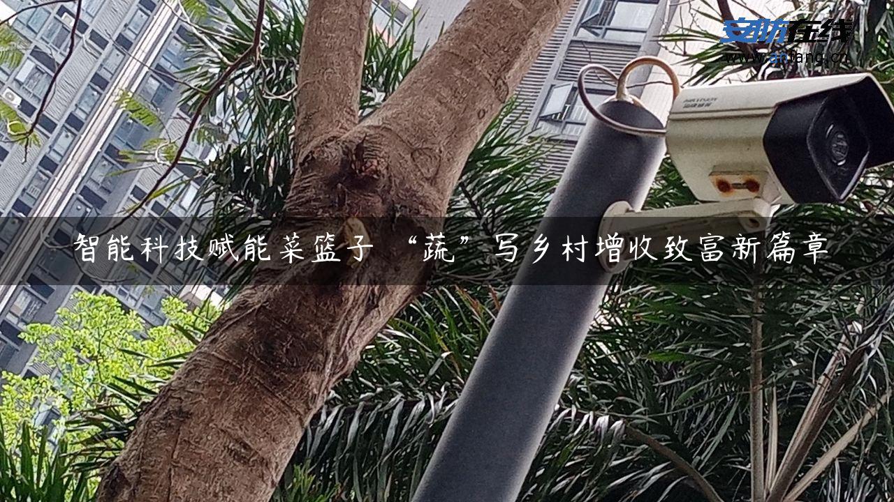 智能科技赋能菜篮子 “蔬”写乡村增收致富新篇章