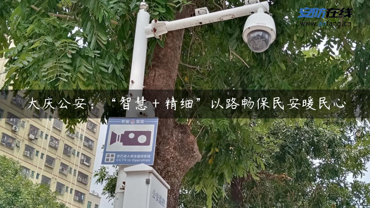 大庆公安：“智慧＋精细”以路畅保民安暖民心