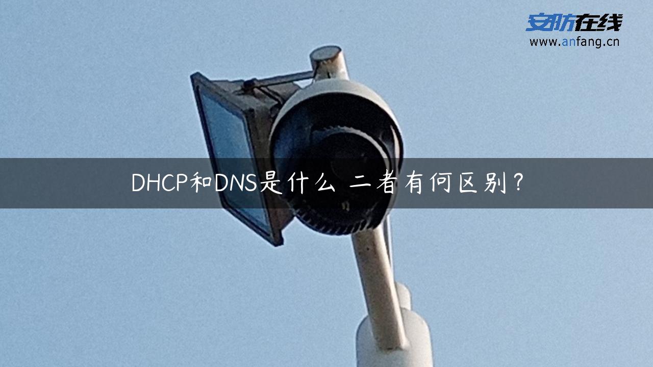 DHCP和DNS是什么 二者有何区别？