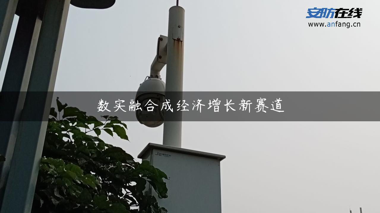 数实融合成经济增长新赛道