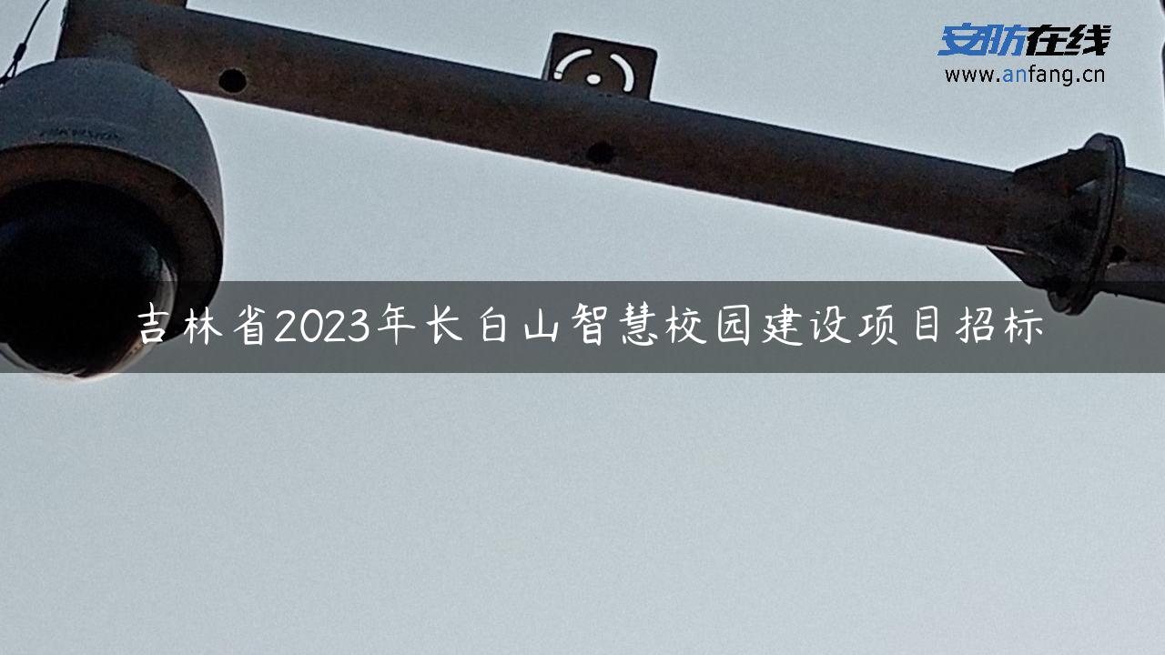 吉林省2023年长白山智慧校园建设项目招标