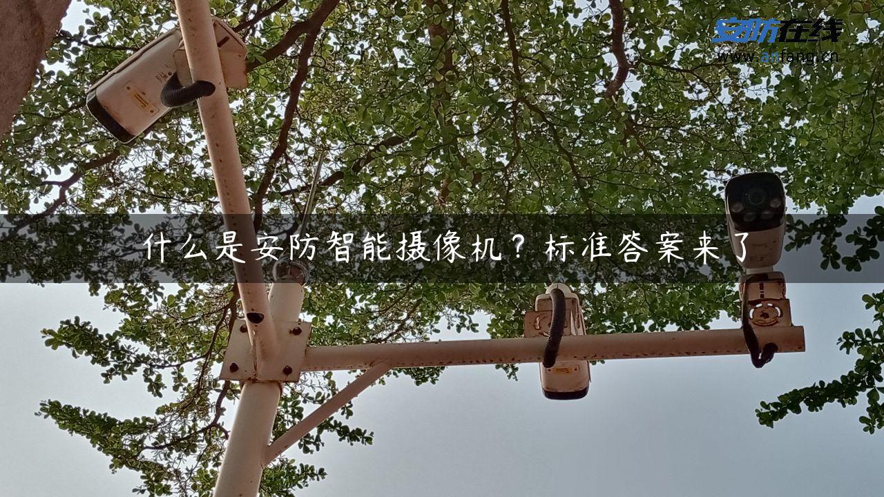 什么是安防智能摄像机？标准答案来了