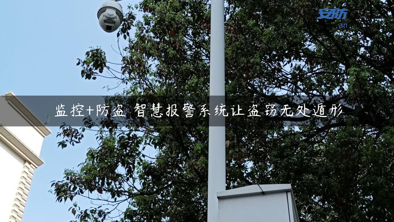 监控+防盗 智慧报警系统让盗窃无处遁形