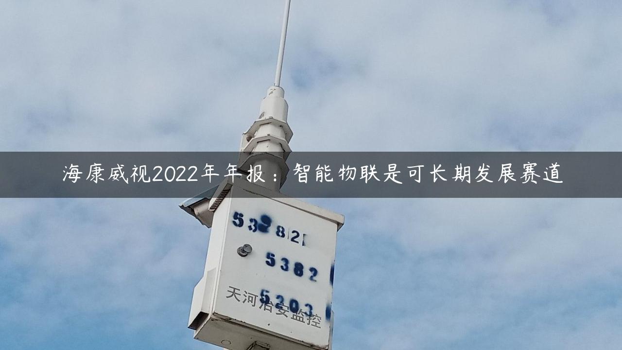 海康威视2022年年报：智能物联是可长期发展赛道