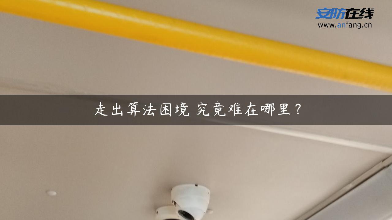 走出算法困境 究竟难在哪里？