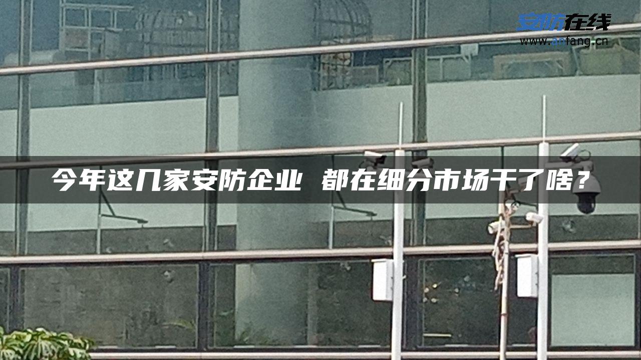 今年这几家安防企业 都在细分市场干了啥？