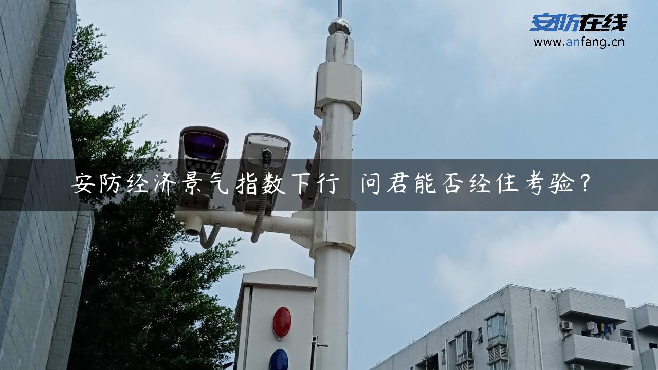 安防经济景气指数下行  问君能否经住考验？