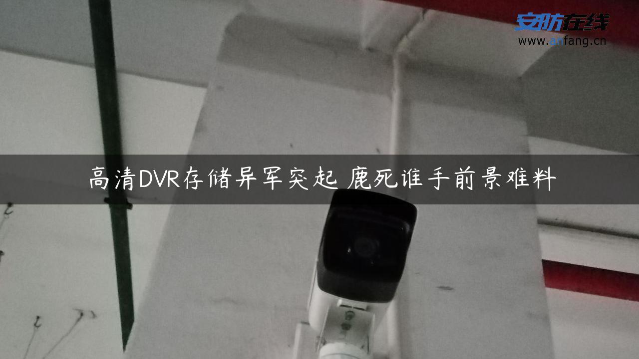 高清DVR存储异军突起 鹿死谁手前景难料