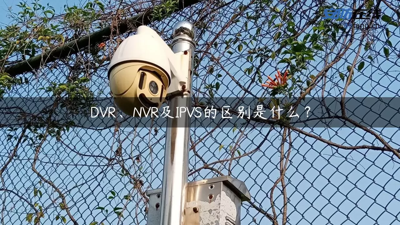 DVR、NVR及IPVS的区别是什么？