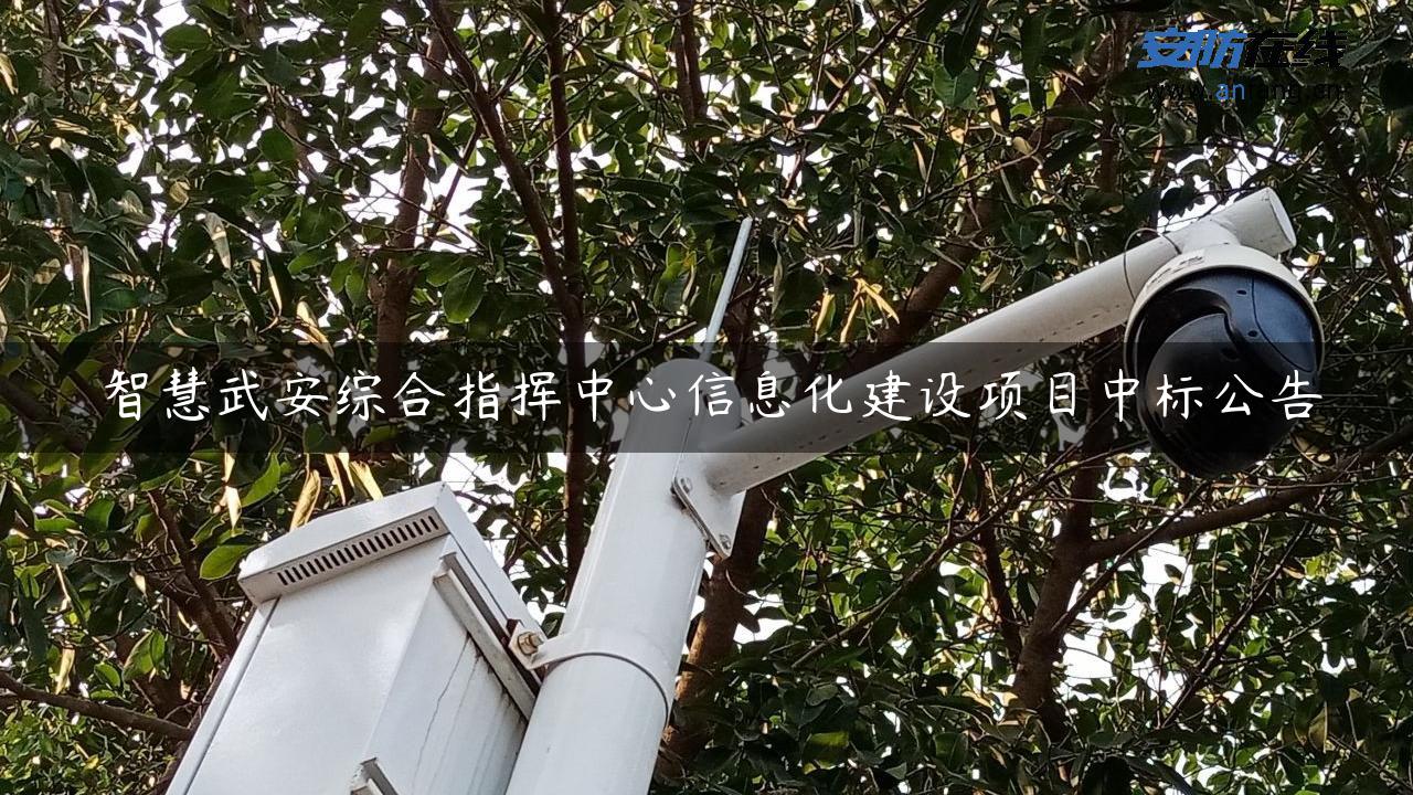 智慧武安综合指挥中心信息化建设项目中标公告