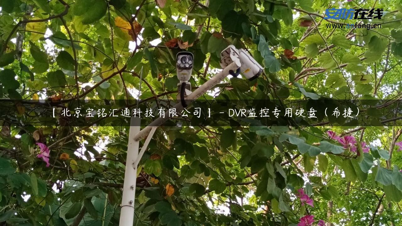 【北京宝铭汇通科技有限公司】 – DVR监控专用硬盘（希捷）