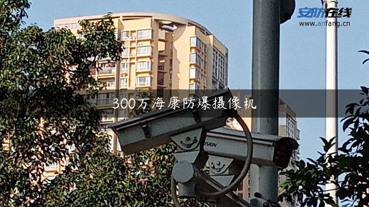 300万海康防爆摄像机