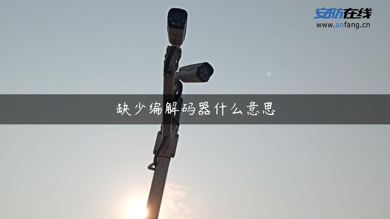 缺少编解码器什么意思