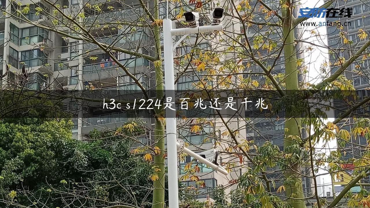 h3c s1224是百兆还是千兆