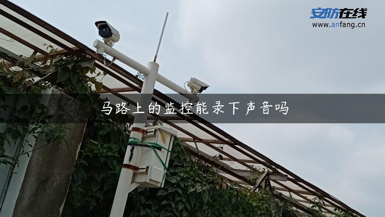 马路上的监控能录下声音吗