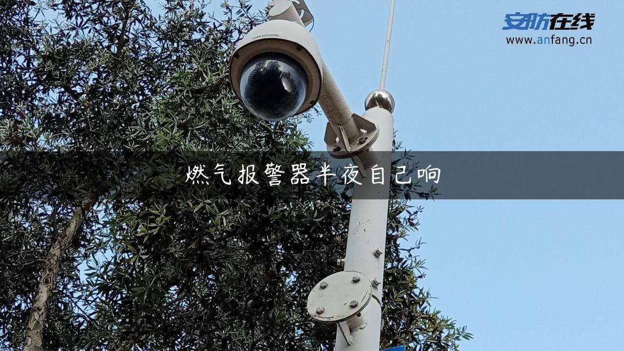 燃气报警器半夜自己响