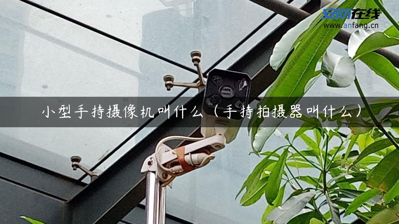 小型手持摄像机叫什么（手持拍摄器叫什么）