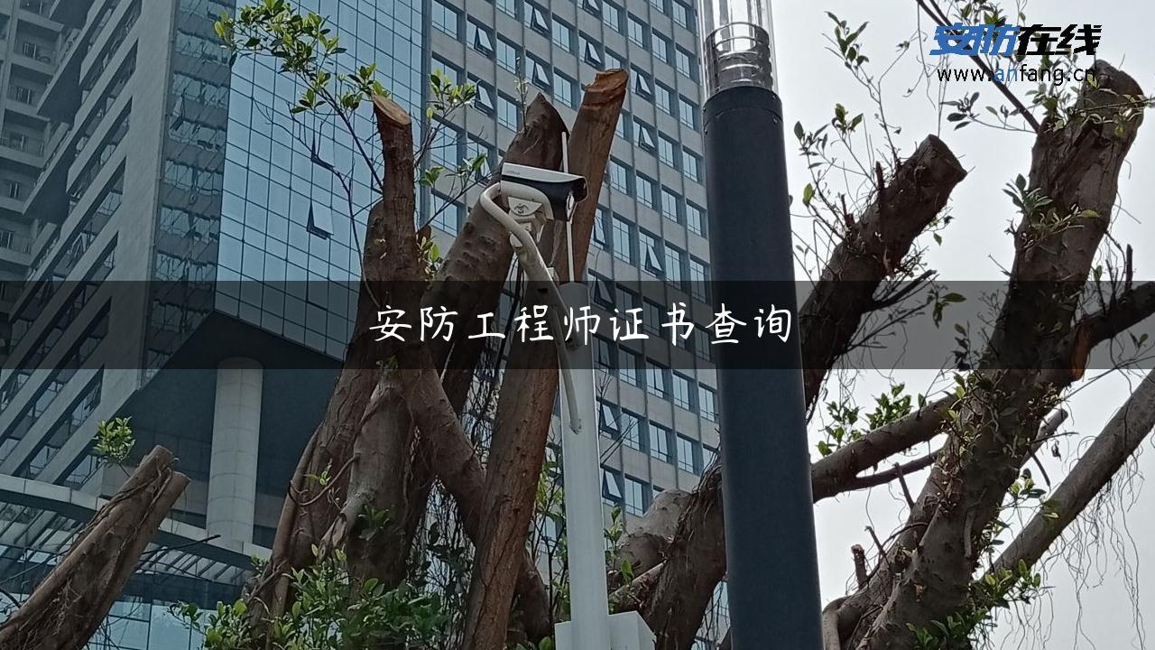 安防工程师证书查询