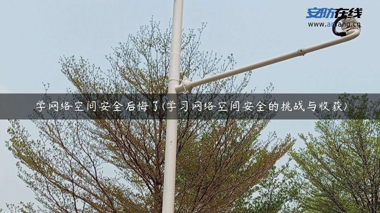 学网络空间安全后悔了(学习网络空间安全的挑战与收获)