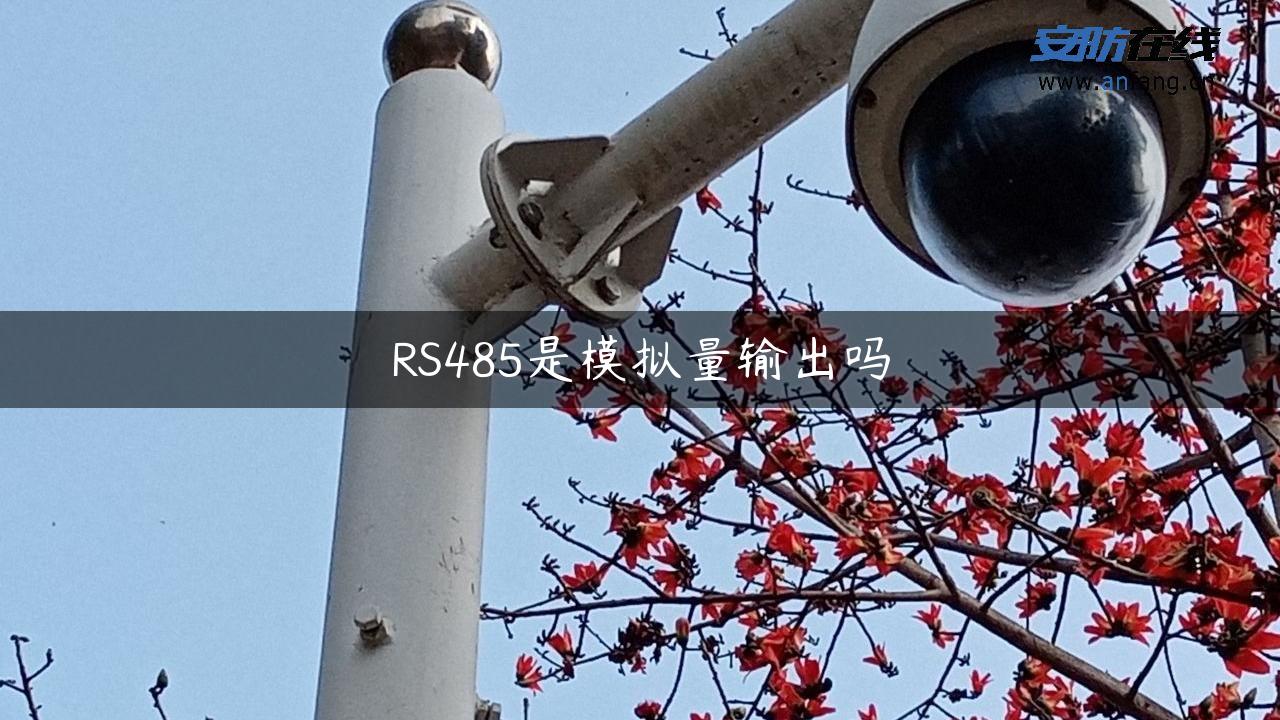 RS485是模拟量输出吗