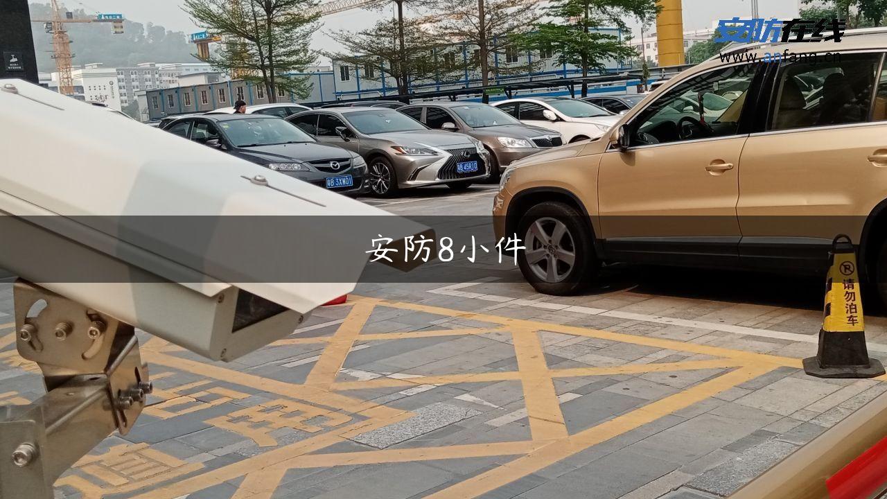 安防8小件