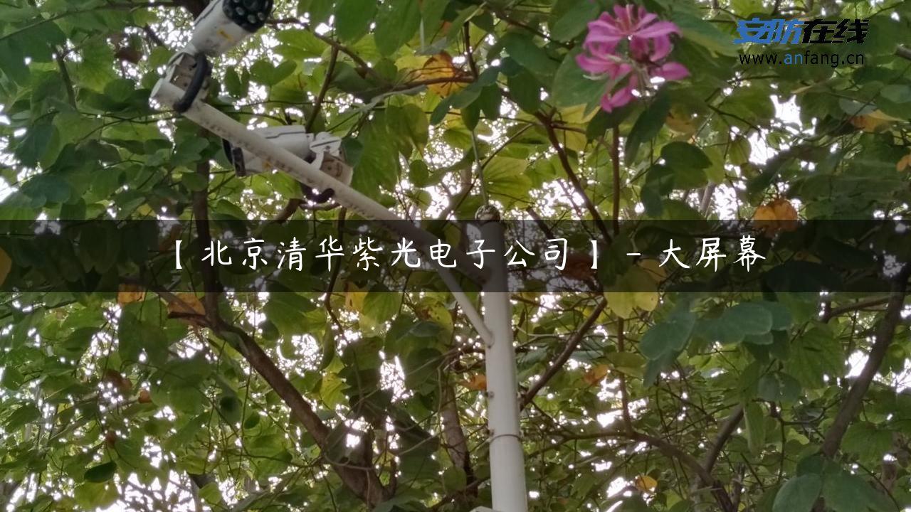 【北京清华紫光电子公司】 – 大屏幕