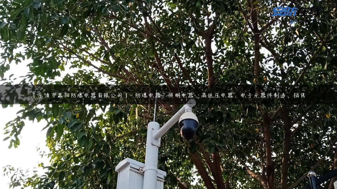 【乐清市赢阳防爆电器有限公司】- 防爆电器、照明电器、高低压电器、电子元器件制造、销售。