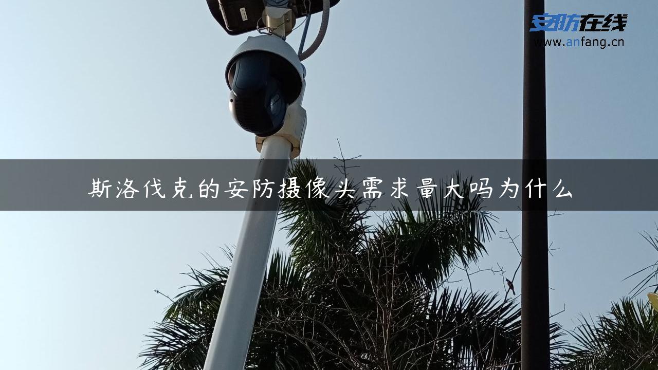 斯洛伐克的安防摄像头需求量大吗为什么