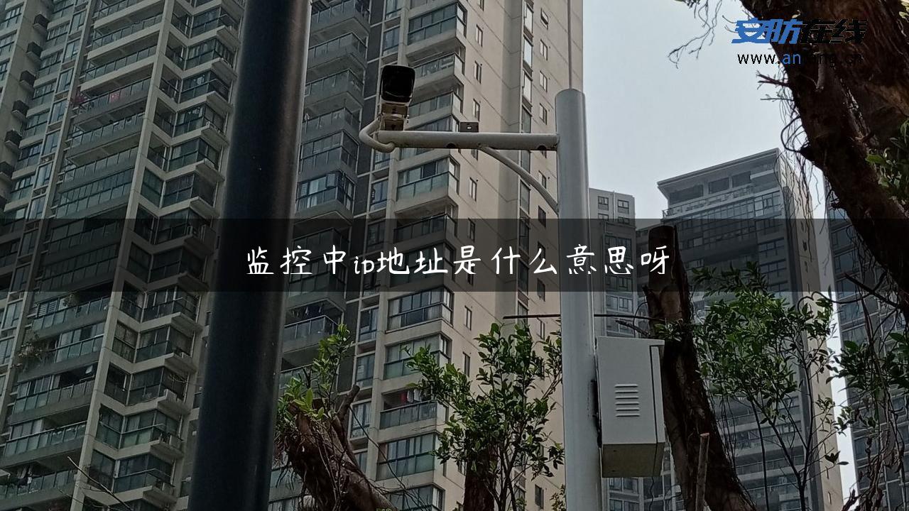 监控中ip地址是什么意思呀