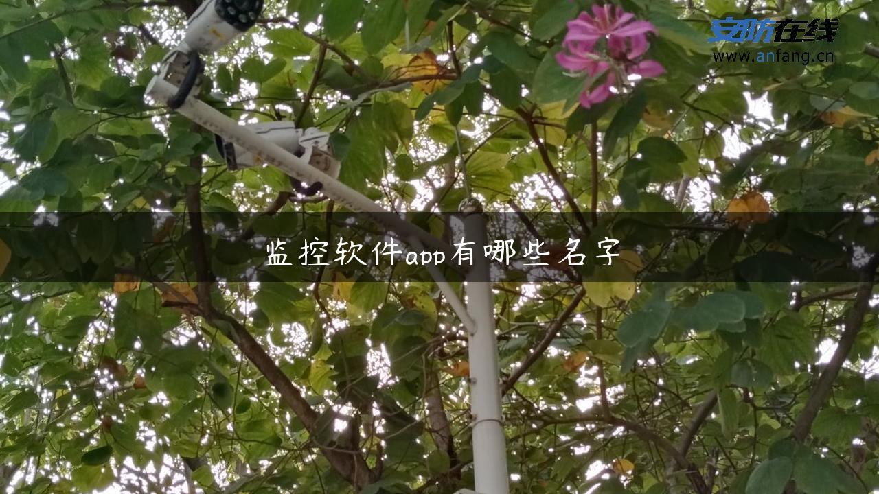 监控软件app有哪些名字