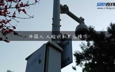 外国人 人脸识别怎么操作