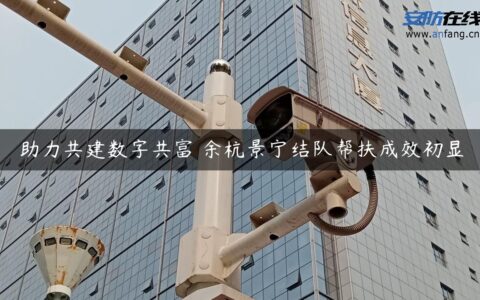 助力共建数字共富 余杭景宁结队帮扶成效初显