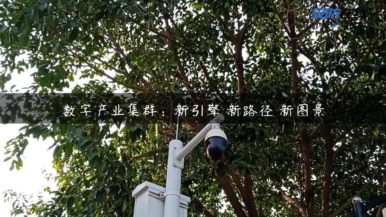 数字产业集群：新引擎 新路径 新图景