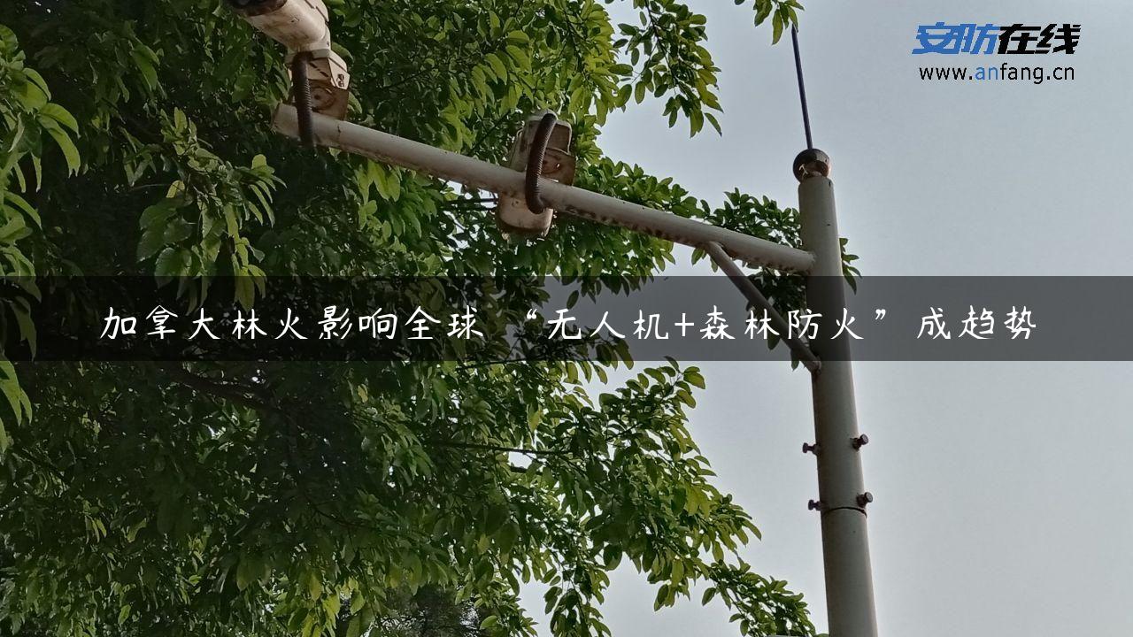 加拿大林火影响全球 “无人机+森林防火”成趋势