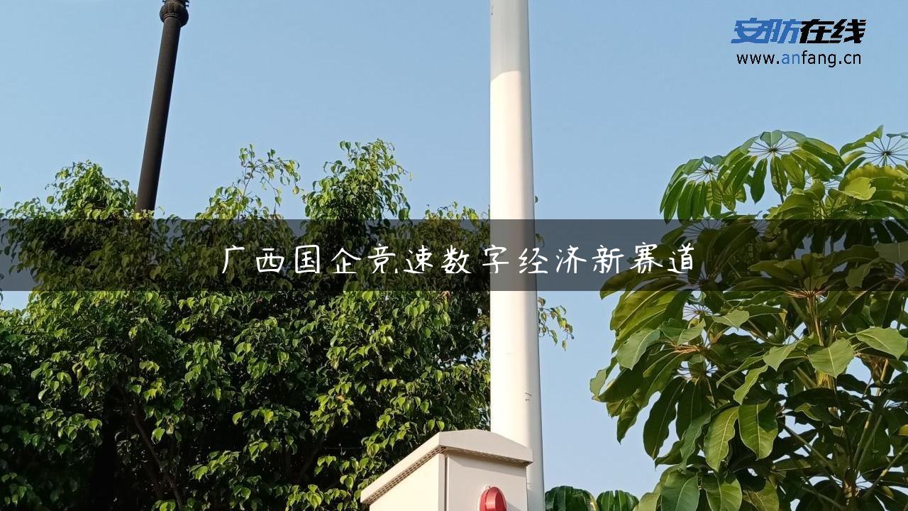 广西国企竞速数字经济新赛道