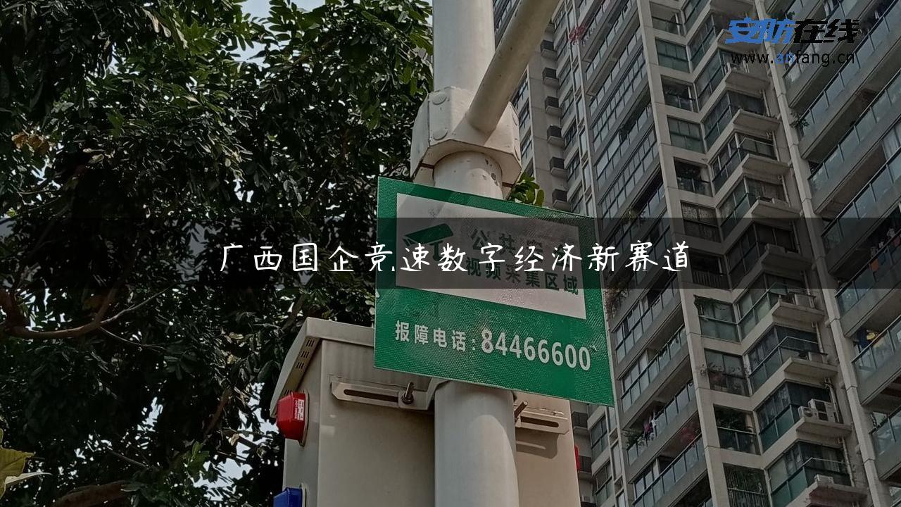 广西国企竞速数字经济新赛道